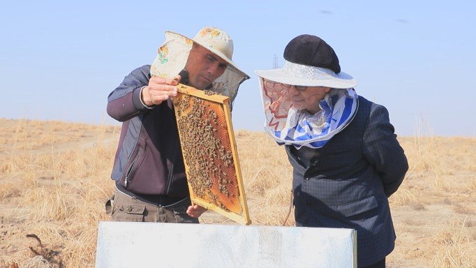 Экономический анализ альтернатив ведения пчеловодства